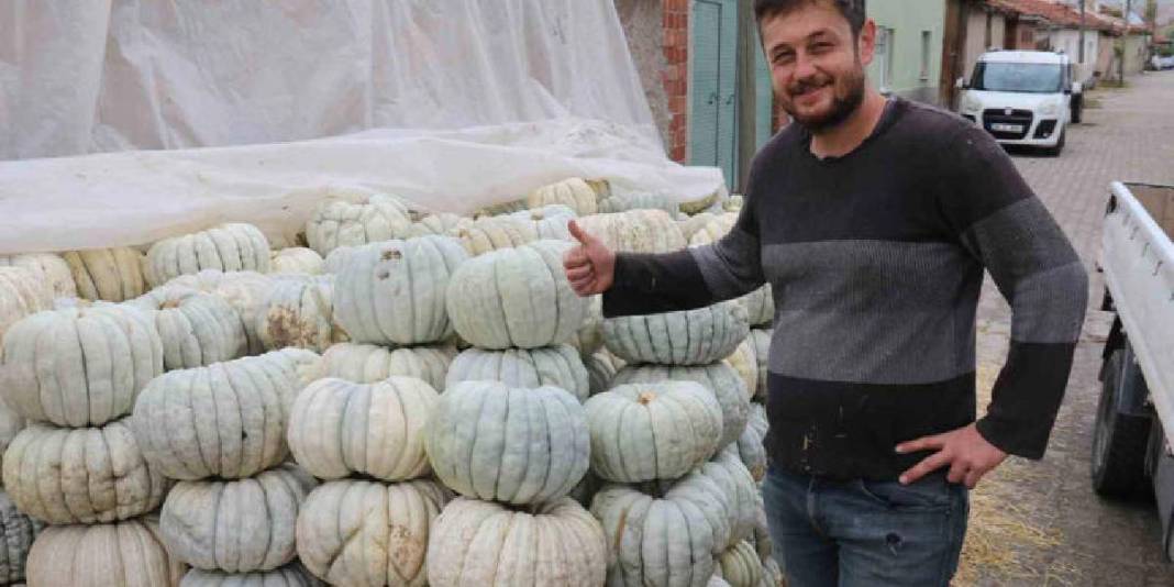 Ata tohumundan üretiliyor, lezzeti herkesçe biliniyor! Eskişehir’in dillere destan balkabağı: 20 liradan satılacak 7